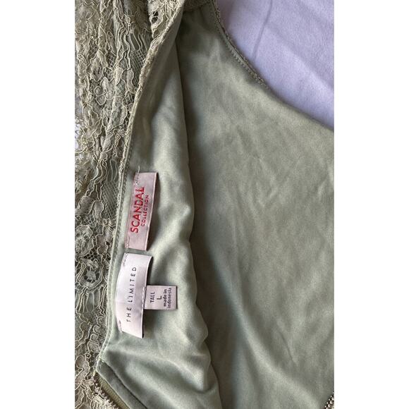 The Limited Scandal Collection Handler Pant Sage Green Sz 12 / Crochet Top L - Picture 12 of 16